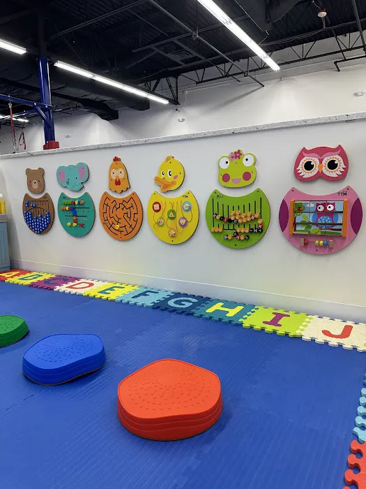 We Rock The Spectrum Kids Gym Novi Picture 10