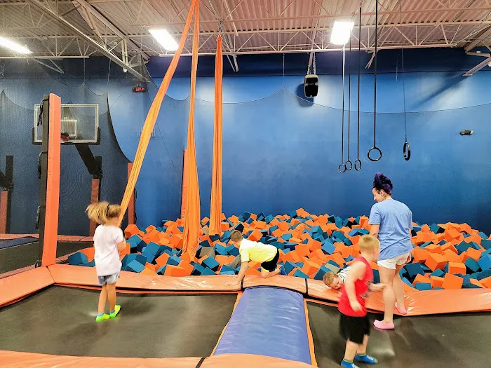 Airborne Adventure Park - Brighton, MI Picture 5