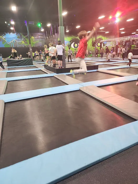 Sky Zone Trampoline Park Picture 2