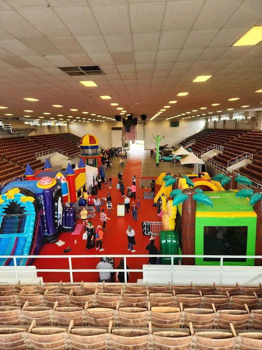 MaxAiir Party Rentals & Inflatapark Picture 4