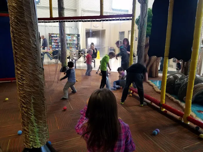 Jungle-Junction Indoor Playground Picture 3