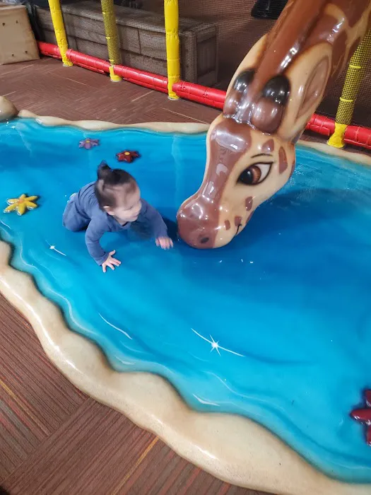 Jungle-Junction Indoor Playground Picture 6