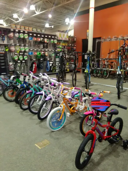 DICK'S Sporting Goods Picture 5