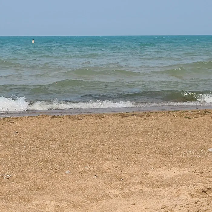 WhoaZone at Whihala Beach Picture 5