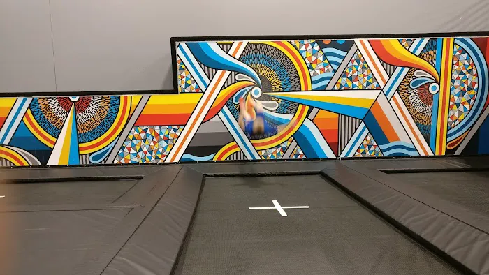 Sky Zone Trampoline Park Picture 2