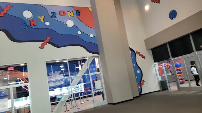 Sky Zone Trampoline Park Picture 1