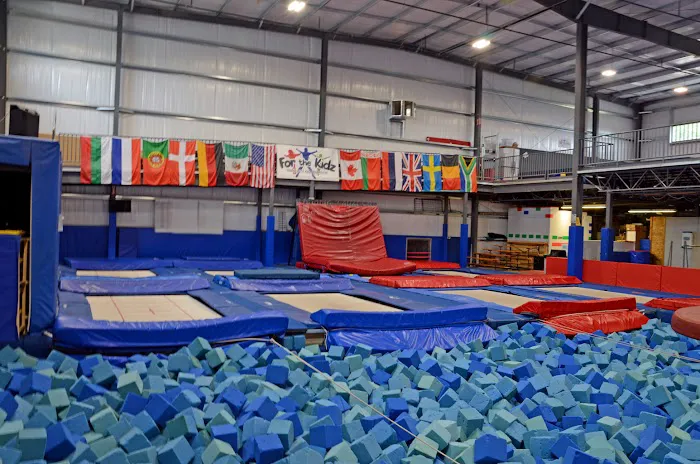 For the Kidz Gymnastics Picture 2