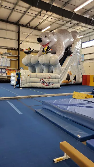 For the Kidz Gymnastics Picture 10