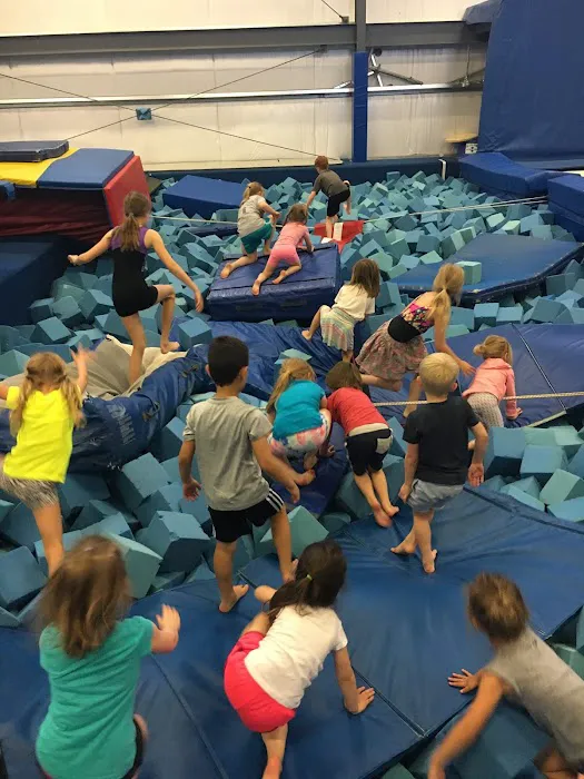For the Kidz Gymnastics Picture 9
