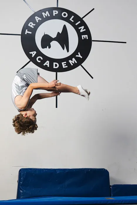The Grand Rapids Trampoline Academy Picture 1