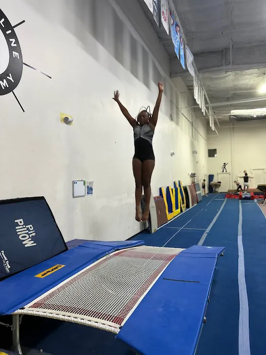 The Grand Rapids Trampoline Academy Picture 6