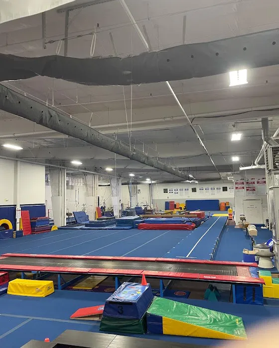 The Grand Rapids Trampoline Academy Picture 8