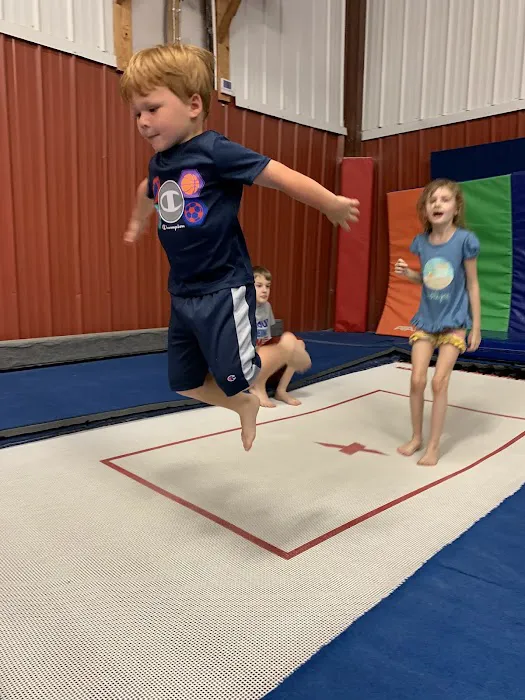 MaxAir Trampolines Picture 2