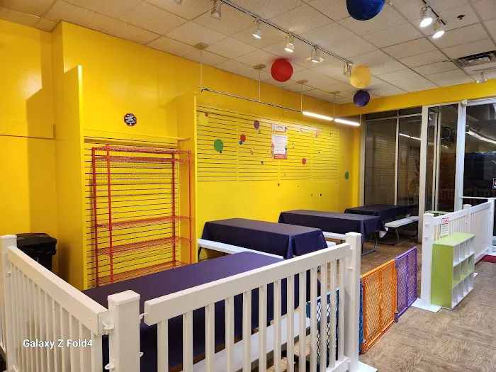 FunFlatables - Chicago Ridge Picture 5