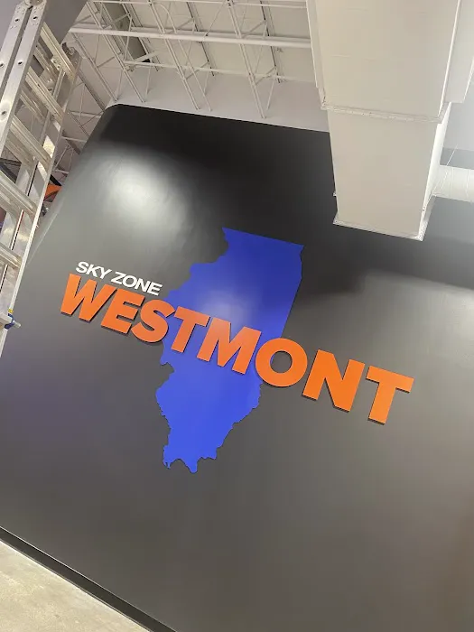 Sky Zone Trampoline Park Picture 3