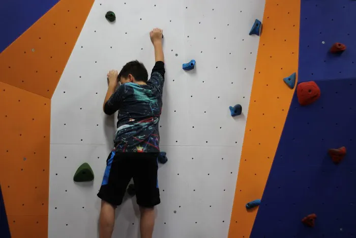Sky Zone Trampoline Park Picture 4