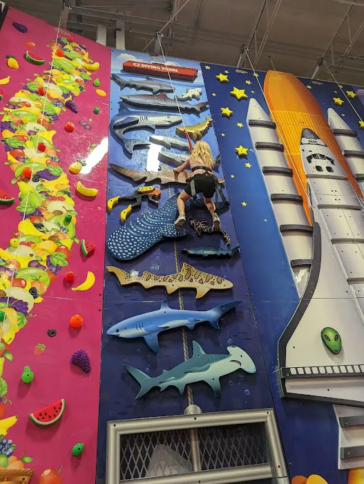 ClimbZone Chicago Picture 10