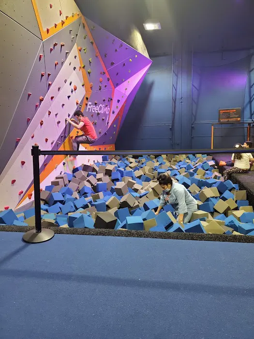 Sky Zone Trampoline Park Picture 6