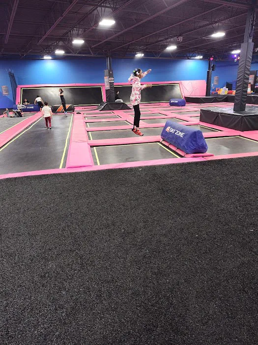 Sky Zone Trampoline Park Picture 2