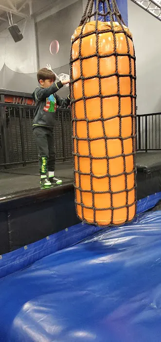 Airborne Adventure Park - Saginaw, MI Picture 4