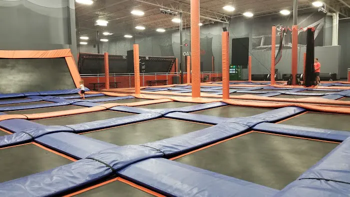 Airborne Adventure Park - Saginaw, MI Picture 6