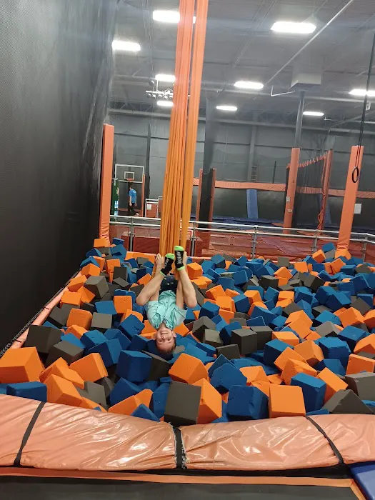Airborne Adventure Park - Saginaw, MI Picture 7