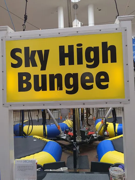 Super Sky High Bungee Picture 2