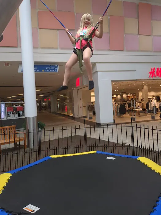 Super Sky High Bungee Picture 1