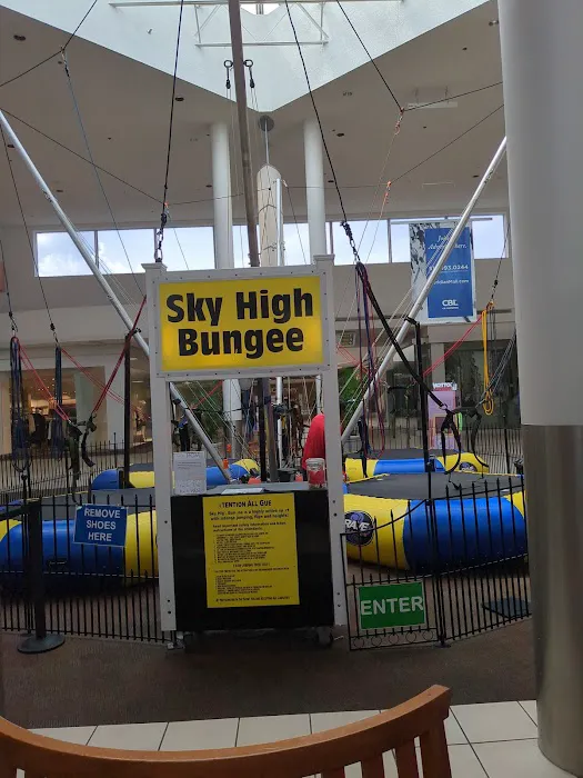 Super Sky High Bungee Picture 5