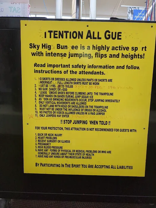Super Sky High Bungee Picture 4
