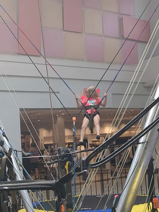 Super Sky High Bungee Picture 6