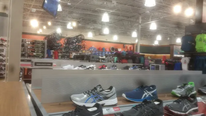DICK'S Sporting Goods Picture 8