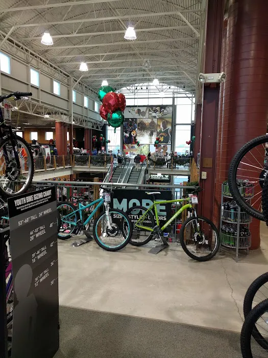 DICK'S Sporting Goods Picture 8