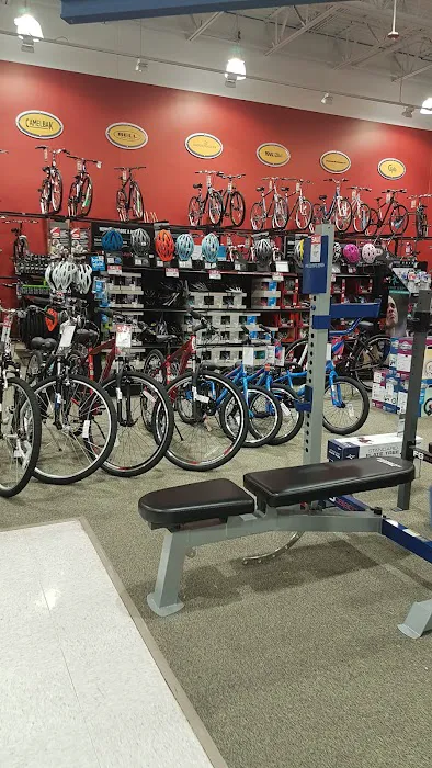 DICK'S Sporting Goods Picture 3