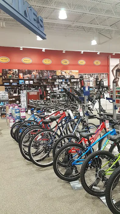 DICK'S Sporting Goods Picture 4