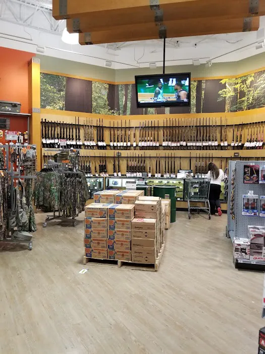 DICK'S Sporting Goods Picture 7