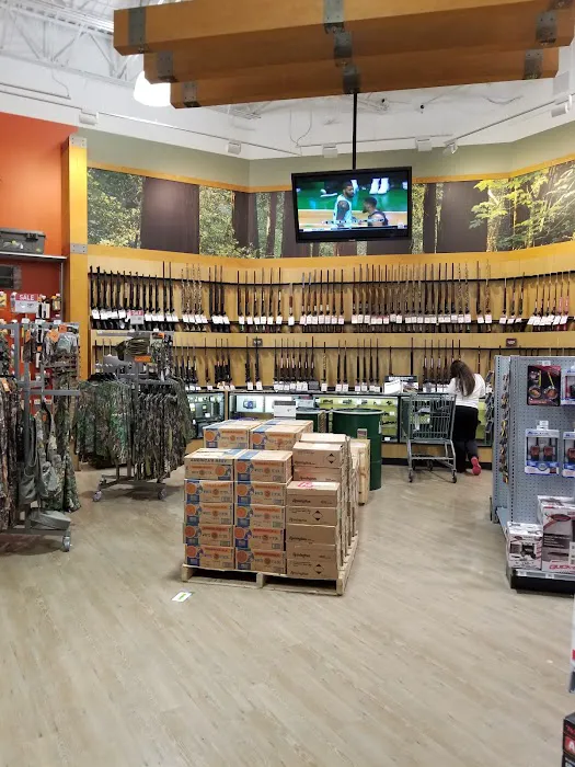DICK'S Sporting Goods Picture 4