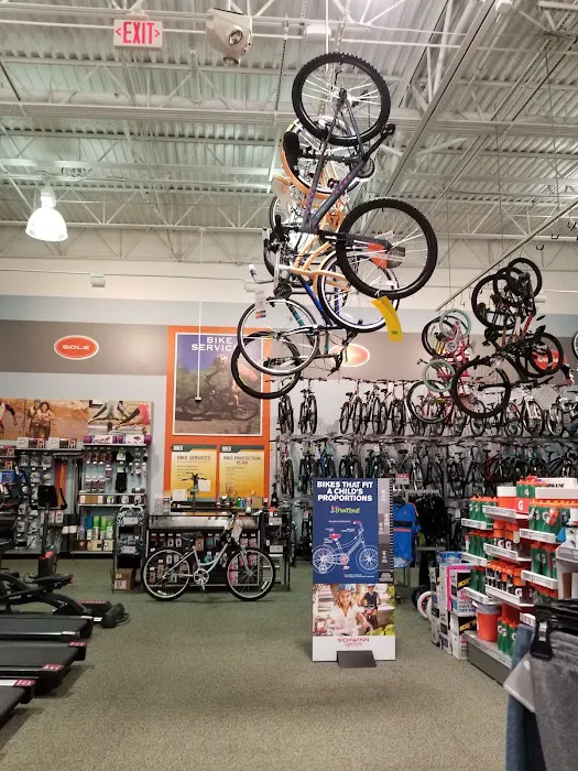 DICK'S Sporting Goods Picture 3