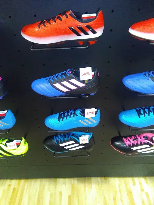 DICK'S Sporting Goods Picture 10
