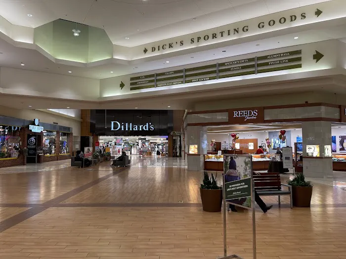 DICK'S Sporting Goods Picture 2