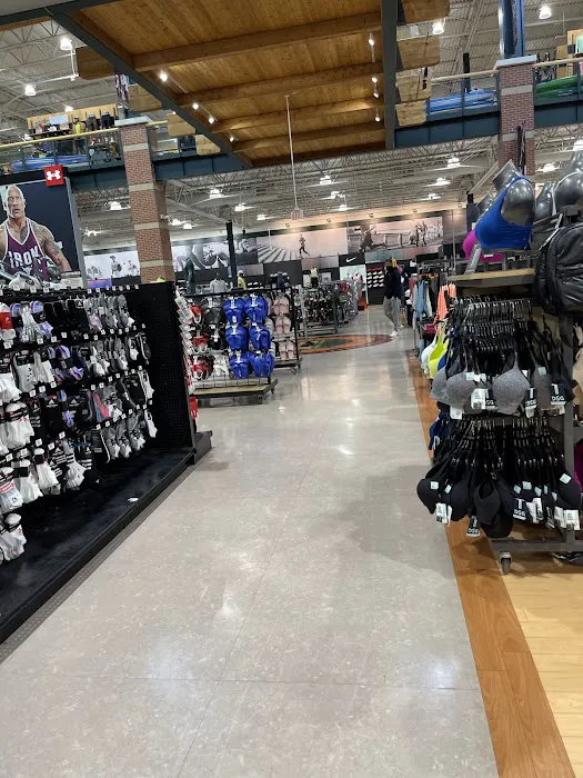 DICK'S Sporting Goods Picture 8