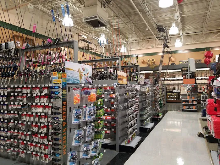 DICK'S Sporting Goods Picture 9