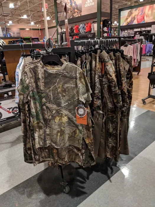 DICK'S Sporting Goods Picture 4