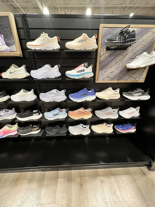 DICK'S Sporting Goods Picture 5