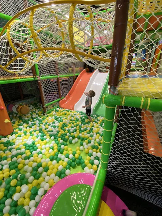 Sky Zone Trampoline Park Picture 1