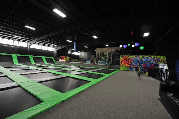Sky Zone Trampoline Park Picture 3