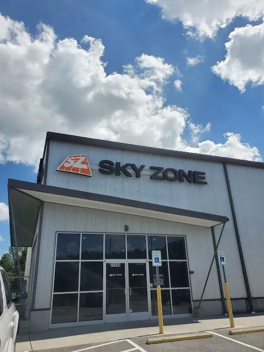 Sky Zone Trampoline Park Picture 7