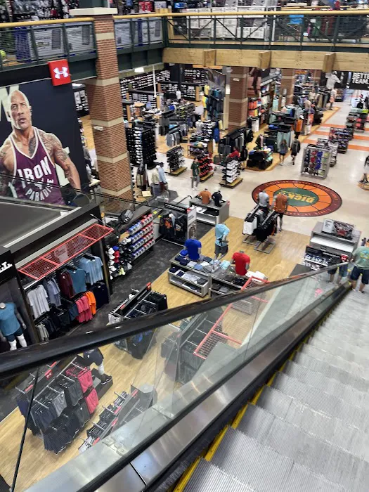 DICK'S Sporting Goods Picture 9