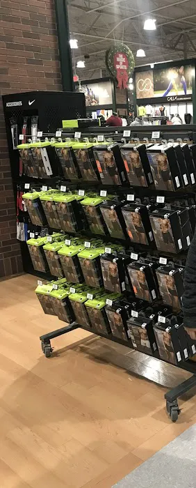 DICK'S Sporting Goods Picture 5