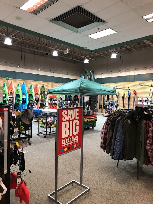 DICK'S Sporting Goods Picture 6